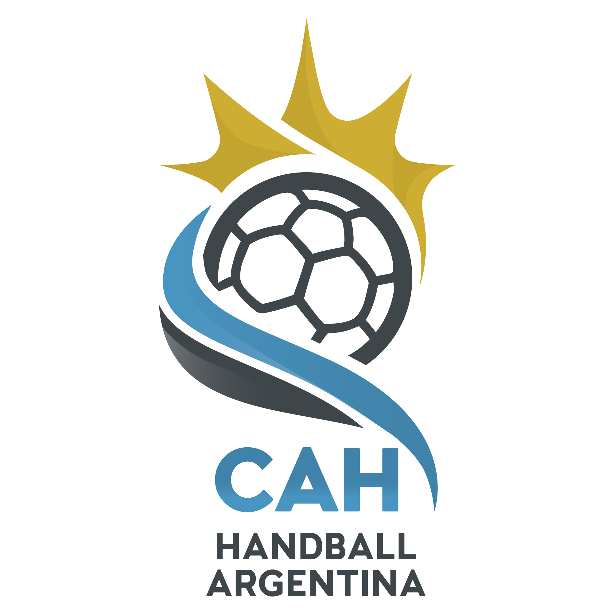 IHF Team Details Page